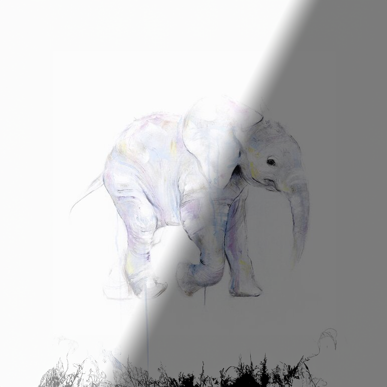 Myriam Rousseau Elephant II (Série/Series)